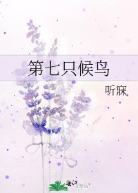 第七隻候鳥